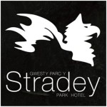 Stradey park weddings
