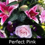 pretty-pink2